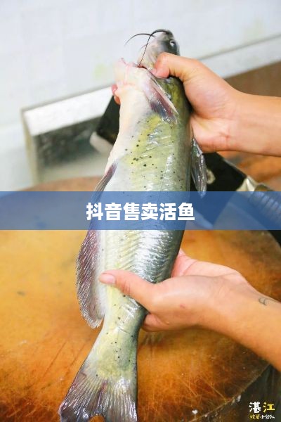 抖音上能否售卖活鱼，真实与否的探讨  第1张
