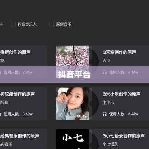抖音上可以制作原声吗？探究抖音平台音频创作功能  第1张