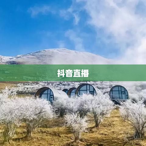 瑞士可以抖音直播吗？探究抖音直播在瑞士的可能性  第1张