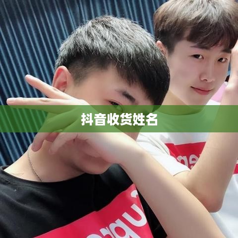 抖音收货姓名是否需要写抖音昵称？解析背后的逻辑与考量