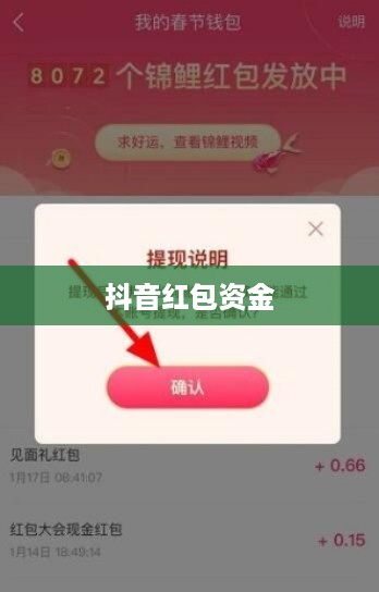 抖音红包资金能否退还？解读相关规则与注意事项  第1张