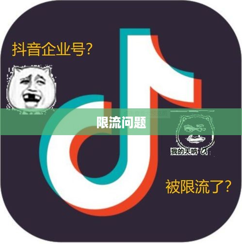 抖音号解禁后是否会被限流，解析与探讨  第1张