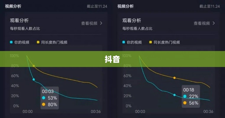 抖音真的存在流量层级吗？探究抖音流量分配的真相  第1张
