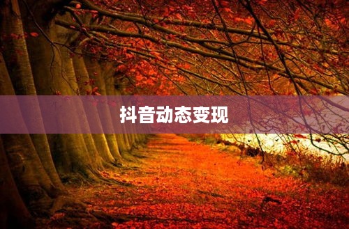 抖音动态可以变现吗？深度解析抖音动态变现路径与策略  第1张