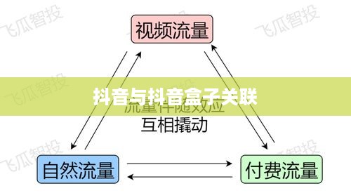 抖音与抖音盒子的关联，操作指南与深度解析  第1张