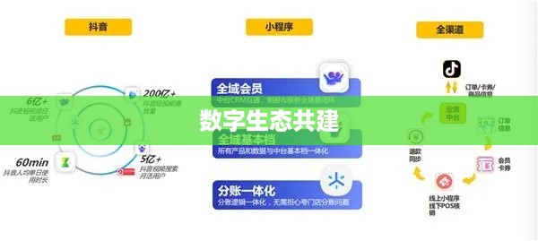 抖管家与抖音，旗下的紧密关联与数字生态的共建  第1张