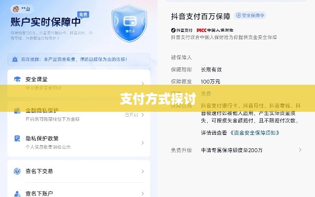 抖音支付与充抖币，安全性解析及支付方式的探讨