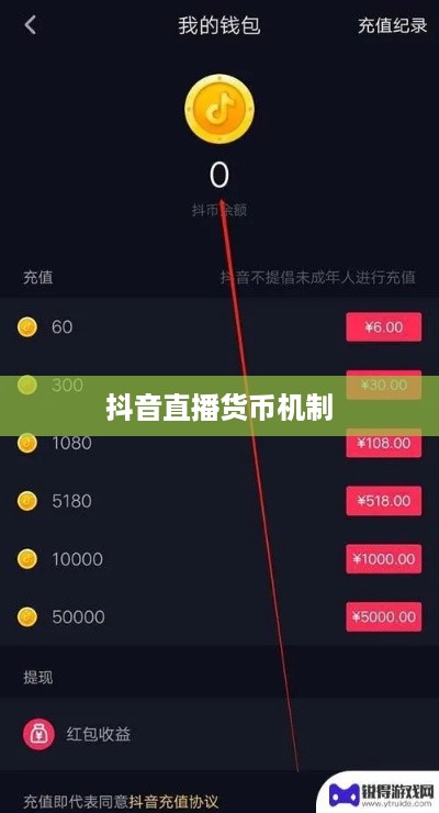 抖音直播间是否需要抖音币，深入探讨抖音直播货币机制及其影响  第1张
