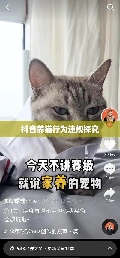 抖音养猫行为违规探究