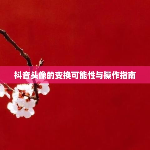 抖音头像的变换可能性与操作指南