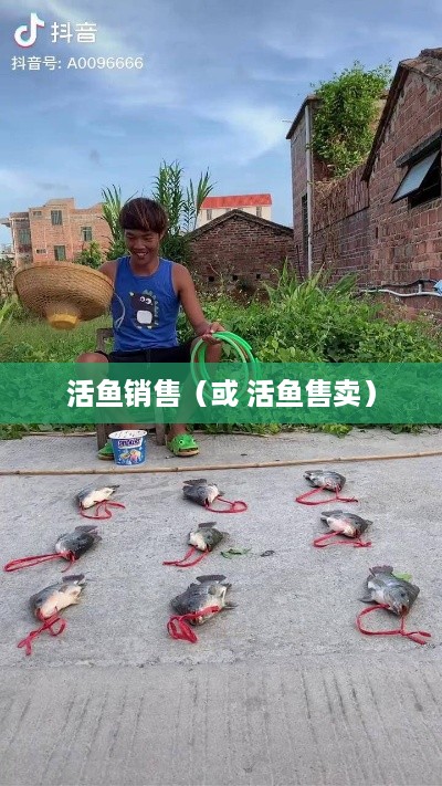 抖音上能否售卖活鱼？真相究竟如何  第1张