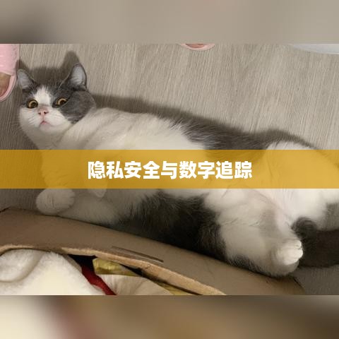 手机号能否查找到抖音？关于隐私安全与数字追踪的探讨