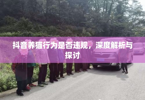 抖音养猫行为是否违规，深度解析与探讨  第1张