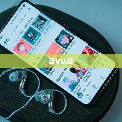 抖音KTV能否进行蓝V认证，解析与探讨  第1张