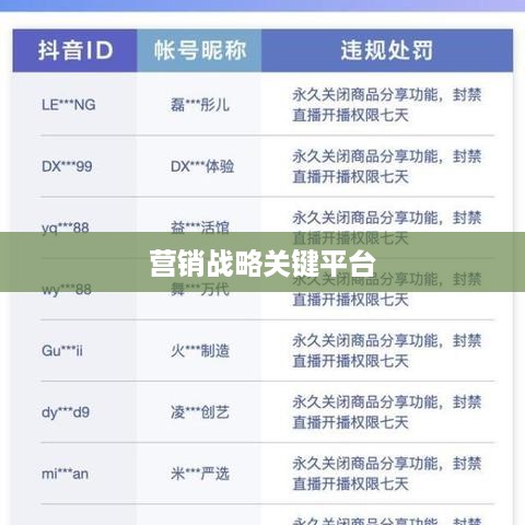 抖音推广的优势与挑战，为何选择抖音作为营销战略的关键平台？