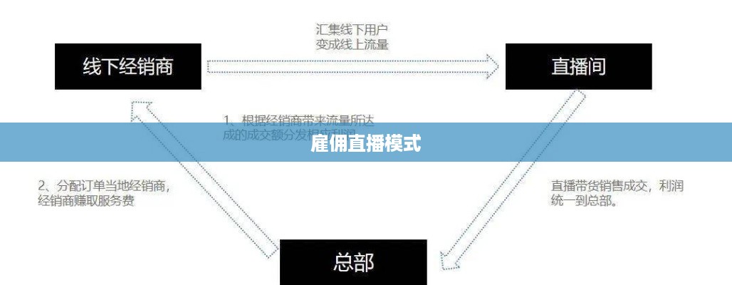 抖音雇人直播赚钱吗，探究雇佣直播模式的盈利潜力与风险  第1张