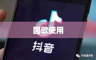 抖音配音能否使用国歌？探讨与反思  第1张