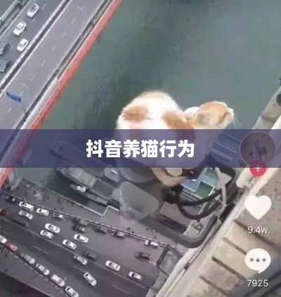 抖音养猫行为是否违规，深度解析与探讨  第1张