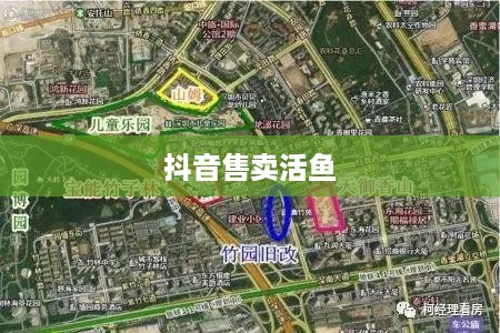 抖音上能否售卖活鱼？真实情况探讨  第1张