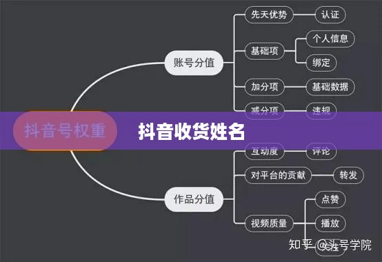 抖音收货姓名是否需要写抖音昵称？解析其中的权衡与选择  第1张