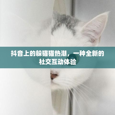 抖音上的躲猫猫热潮，一种全新的社交互动体验  第1张