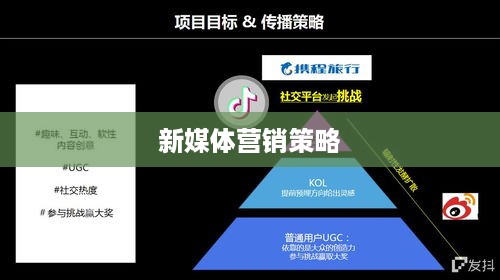 抖音图文可以投抖吗，一种新媒体营销策略的探讨