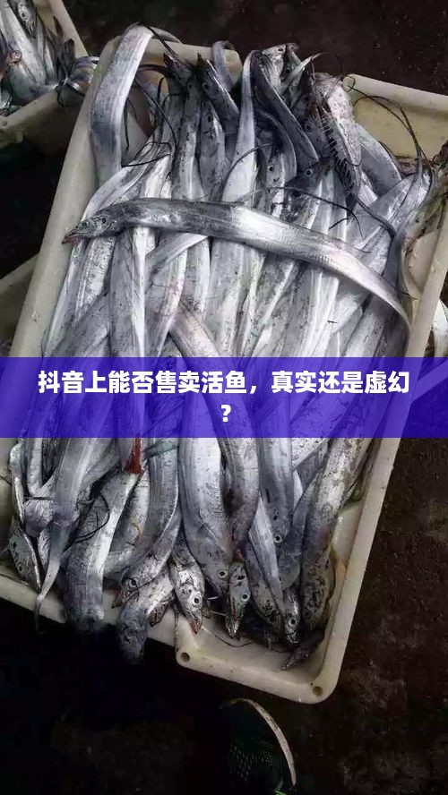 抖音上能否售卖活鱼，真实还是虚幻？  第1张