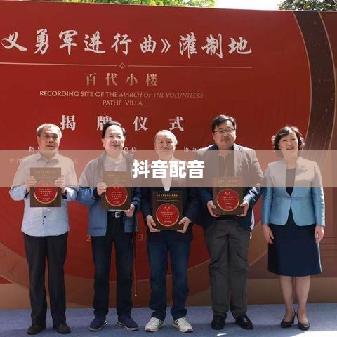 抖音配音能否使用国歌？探讨与解析  第1张