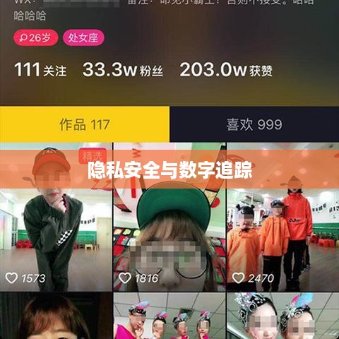 手机号能否查找到抖音？关于隐私安全与数字追踪的探讨