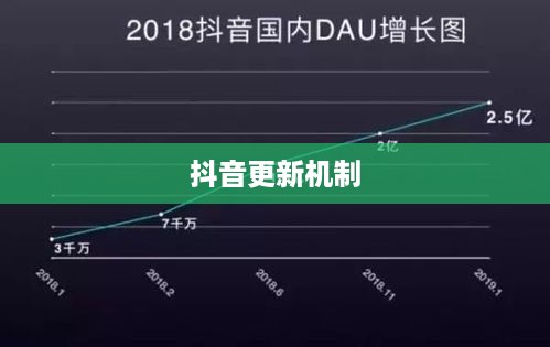 抖音喜欢实时更新吗？探究抖音的更新机制与用户需求