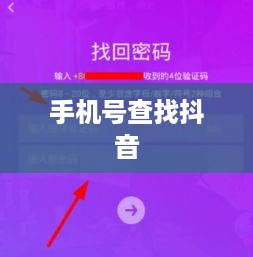 手机号能否查找到抖音？关于隐私安全与数字追踪的探讨