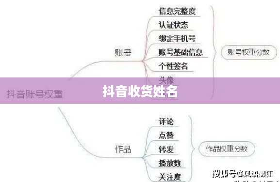 抖音收货姓名是否需要写抖音昵称？解析背后的逻辑与考量