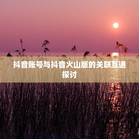 抖音账号与抖音火山版的关联互通探讨  第1张