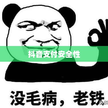 抖音支付与充抖币，安全性解析及支付方式的探讨