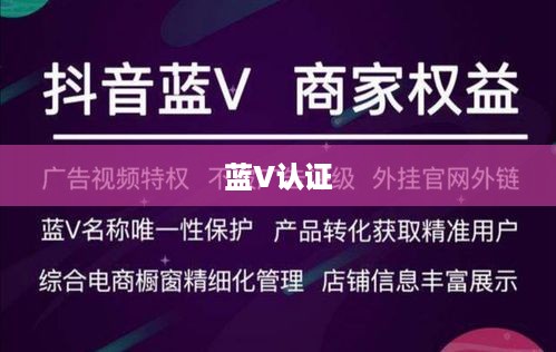 抖音KTV能否进行蓝V认证？解析与探讨  第1张