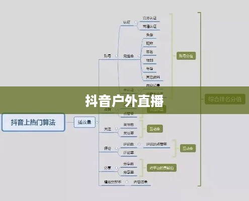 抖音户外直播的兴起与推广策略探讨  第1张