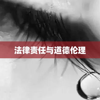 带学生拍抖音行为是否违法，深入分析与探讨  第1张