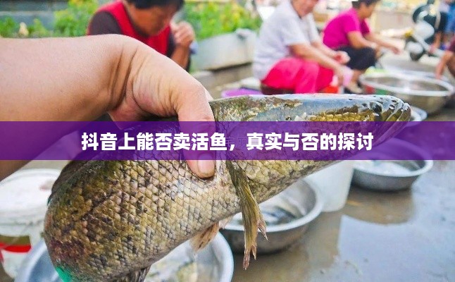 抖音上能否卖活鱼，真实与否的探讨  第1张