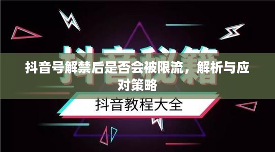 抖音号解禁后是否会被限流，解析与应对策略  第1张