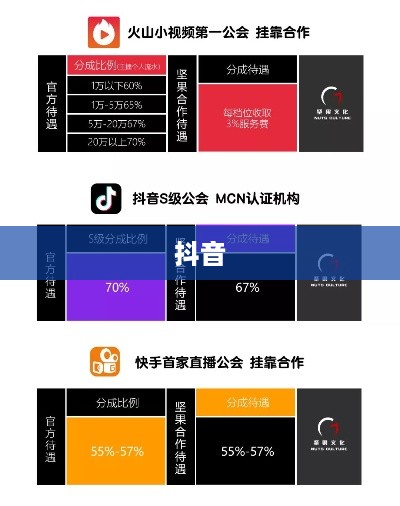 外国人眼中的抖音，点赞文化盛行  第1张