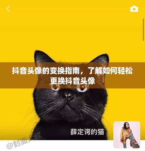 抖音头像的变换指南，了解如何轻松更换抖音头像