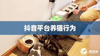 抖音平台上的养猫行为是否违规？解读相关规则与行为准则  第1张