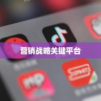 抖音推广的优势与挑战，为何选择抖音作为营销战略的关键平台？  第1张