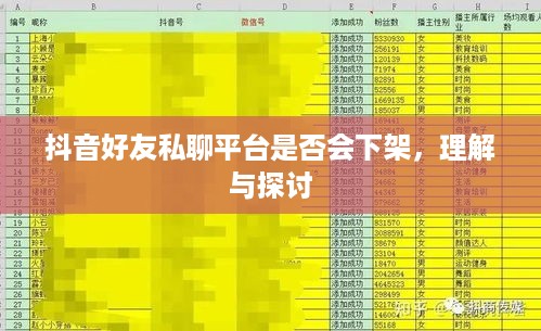 抖音好友私聊平台是否会下架，理解与探讨  第1张