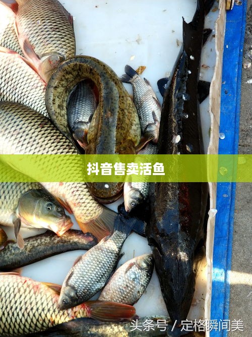 联通苹果手机合约机  第1张