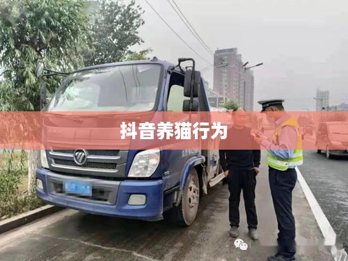 抖音养猫行为是否违规，深度分析与探讨  第1张
