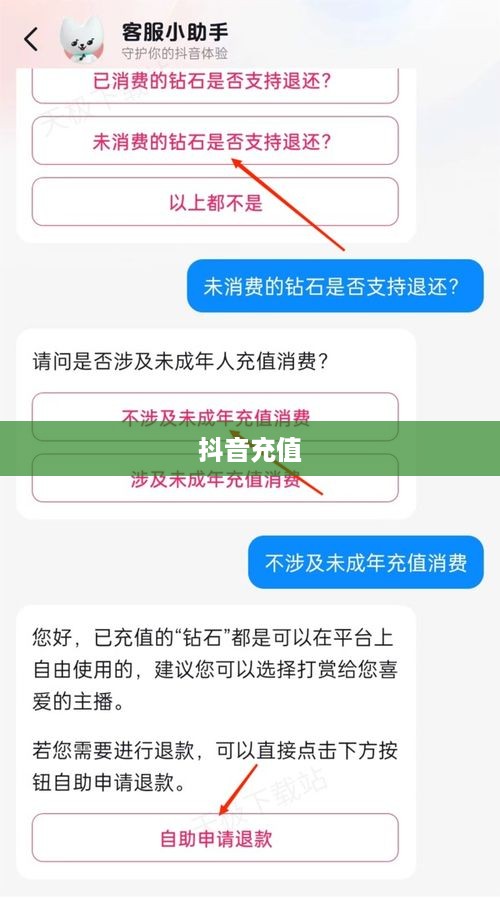 抖音充值能否退款及退款流程详解  第1张