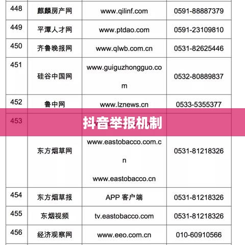 抖音被举报后抖音是否还能正常使用？一篇文章解读抖音举报机制与后续影响