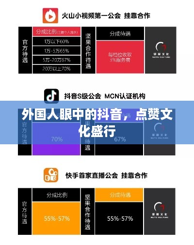 外国人眼中的抖音，点赞文化盛行  第1张