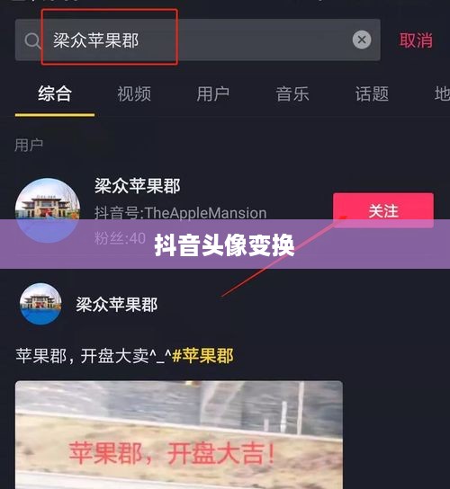 抖音头像的变换可能性，探索个性化表达的新方式  第1张